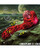 Creature Cocks Cobra Scepter Plasma Vibrator - Red/Black