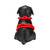Prowler RED Roped Up Rover