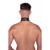 Prowler RED Leather Collar with Strap