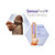 Dr. Skin Plus Thick 9 in. Triple Density Posable Dildo Brown