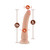 Dr. Skin Silicone Dr. Noah Realistic 8 in. Dildo Beige