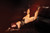 Coquette Pleasure Spreader Bar Black