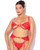 Cecily Lace Cut-Out Bra & Thong w/Garter Straps - Red 1X/2X