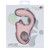 Maia Jaylee G-Spot Tickler Pink