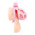 Small Pink Humiliation Acrylic Prisoner Cock Cage