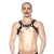 Prowler RED Bull Harness Black L