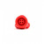Xtrm Snffr 2.0 Leakproof Double Small Red