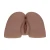 Xkin Bodyforms Kaya Bloom Dual Entry Vibrating Masturbator Brown
