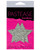 Pastease Silver Glitter Star - One Size Fits All Pasties