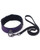 Spartacus Fetish Galaxy Legend Collar & Leash - Purple