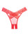 Allure Adore Sheer & Lace Desire Panty Red O/S