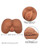 Stroke It Life Size Ass - Brown