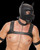 Shots Ouch Puppy Play Complete Kit - Sm Black