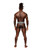 Sheer Prints Mesh Poly Spandex Thong Optical L/Xl