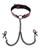 Saffron Collar With Chain Nipple Clamps