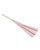 Sex & Mischief Peaches 'n CreaMe Stripe Flogger