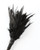 Sei Mio Tickled Kink Soft Mini Feather Tickler - Black
