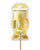 Cock Tailz Liquor Flavored Pecker Pops - Banana Daiquiri Yellow /White Stripe