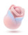 Blush Collection Kissing Rose - Pink