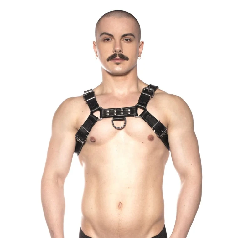 Prowler RED Bull Harness Black M