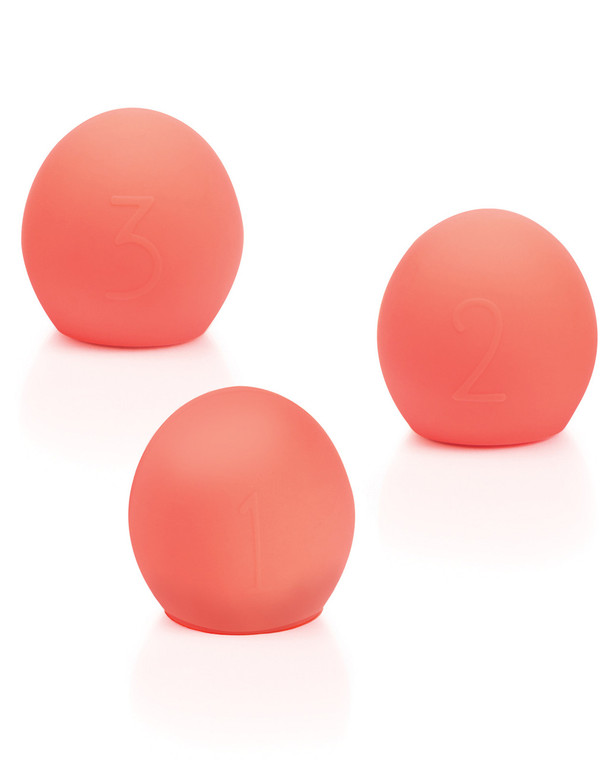 We-Vibe Bloom Kegal Ball Vibrator Accessories Kit