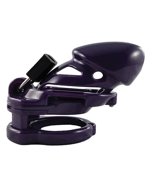 Locked In Lust The Vice Fetish Standard Cock Cage - Purple