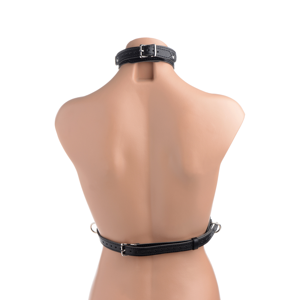 Strict Female Chest Harness