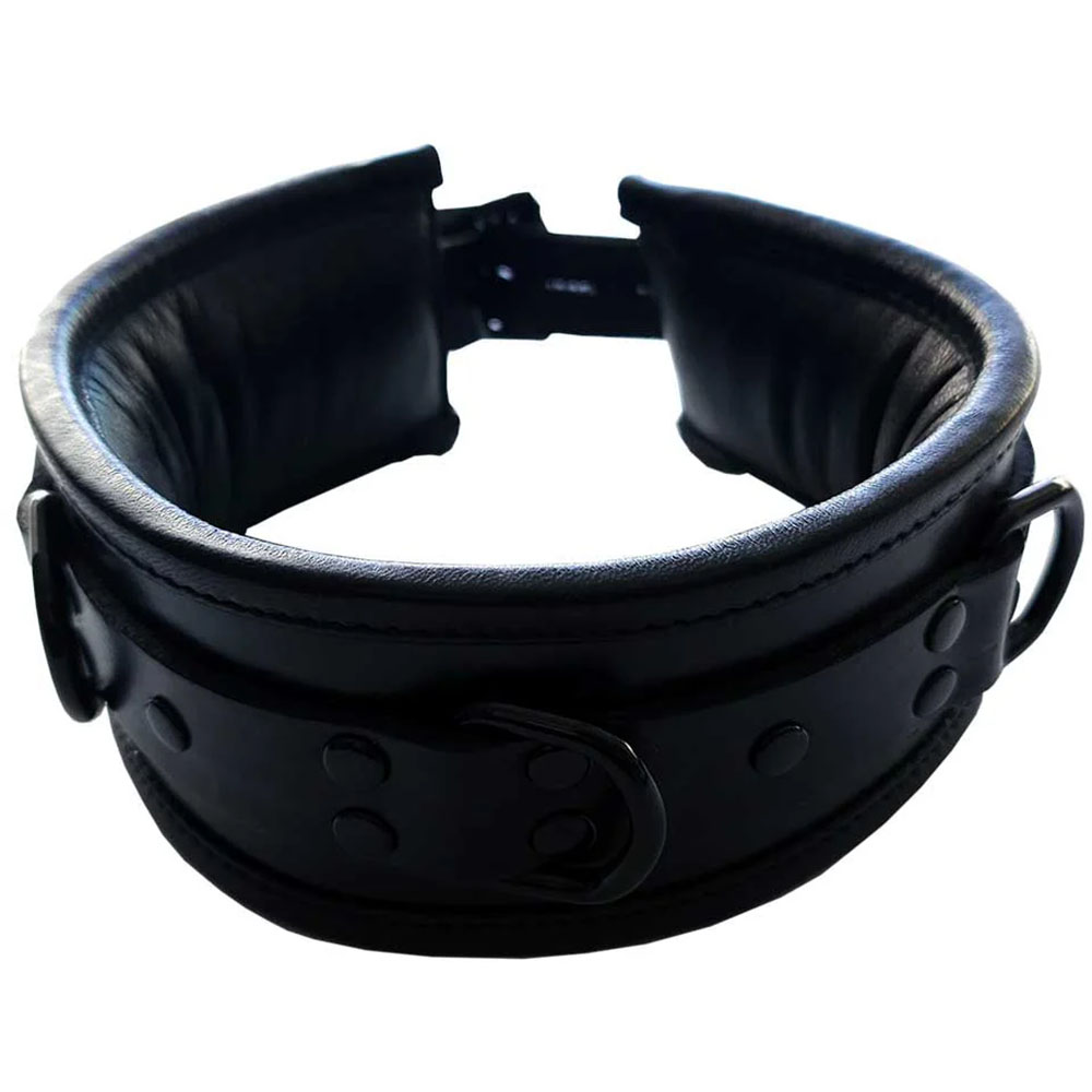 Rouge Leather Black Padded Collar With Black Hardware