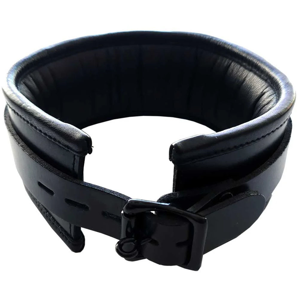 Rouge Leather Black Padded Collar With Black Hardware