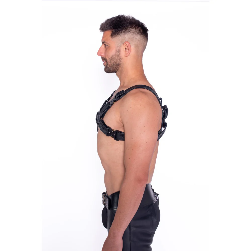Prowler RED Bull Harness Black with Metal Fittings L