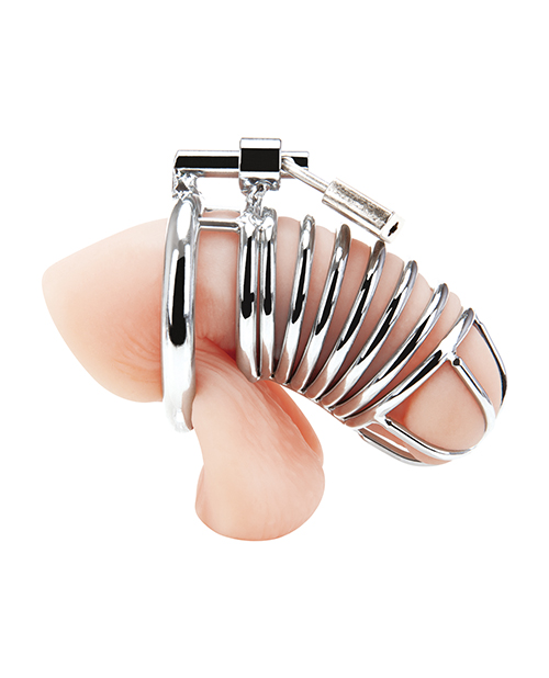 Blue Line Fetish Deluxe Chastity Cock Cage - Silver