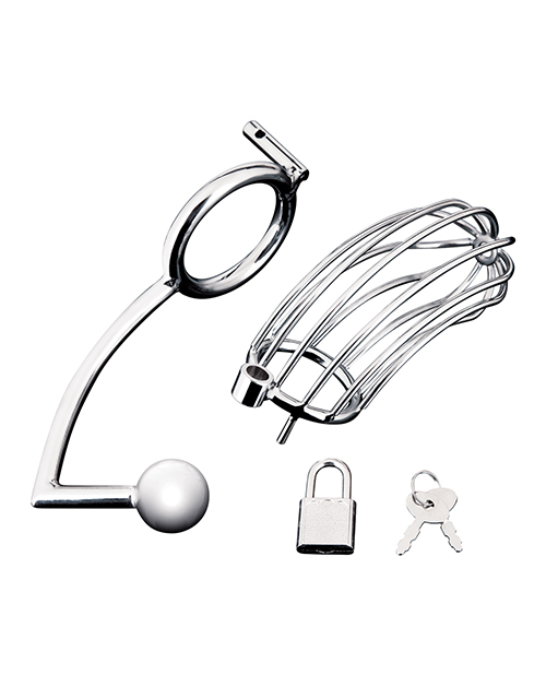 Blue Line Cock Cage With Anal Stimulator - Silver