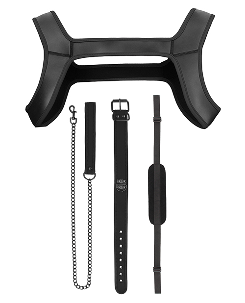 Shots Ouch Puppy Play Complete Kit - Sm Black