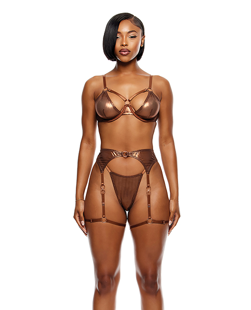 Metallic Panel Bra Liquid Metal Metallic Mesh Underwire Bra With Garter Belt & G-String 3 ...