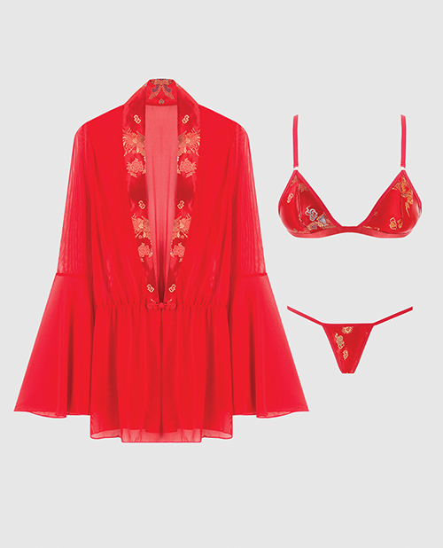 Dragon Sheer Mesh Robe With Satin Triangle Top & G-String 3 pc Set - Red SM