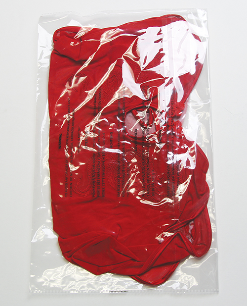 Dragon Mesh & Applique Chemise With G-String 2 pc Set - Red SM