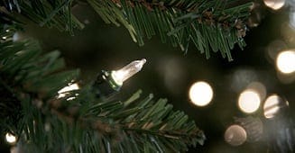 LED christmas lights