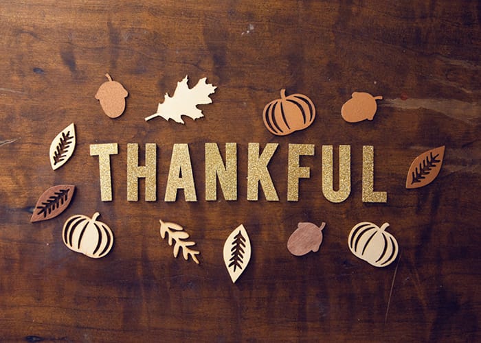 Shaping Your Christmas Tree Thanksgiving