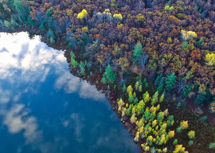 Lake & Forest