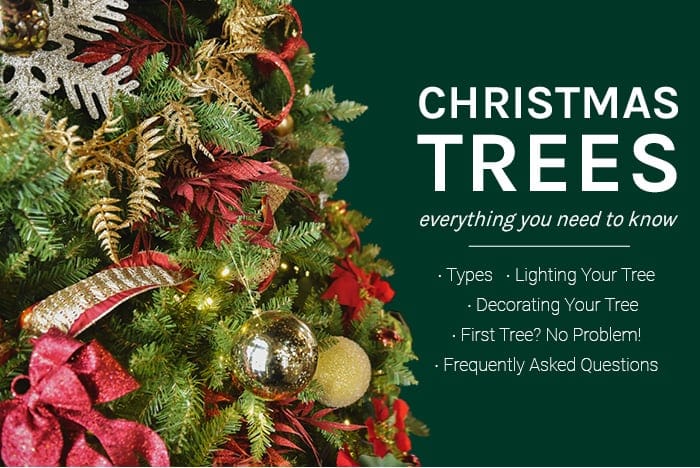Christmas Trees | everything you need to know | Types - Lighting Your Tree - Decorating Your Tree - First Tree? No Problem! | Frequently Asked Questions