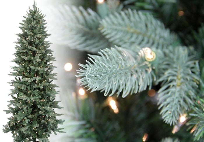 Washington Frasier Christmas Tree Photos