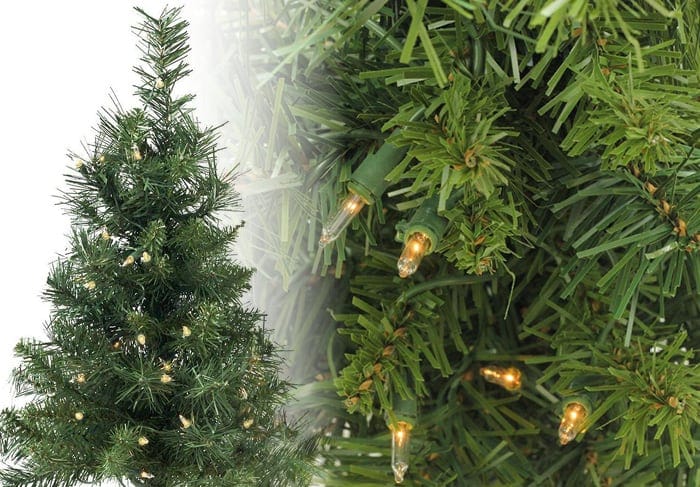 Royal Pine Trees Royal Pine Christmas Tree Photos