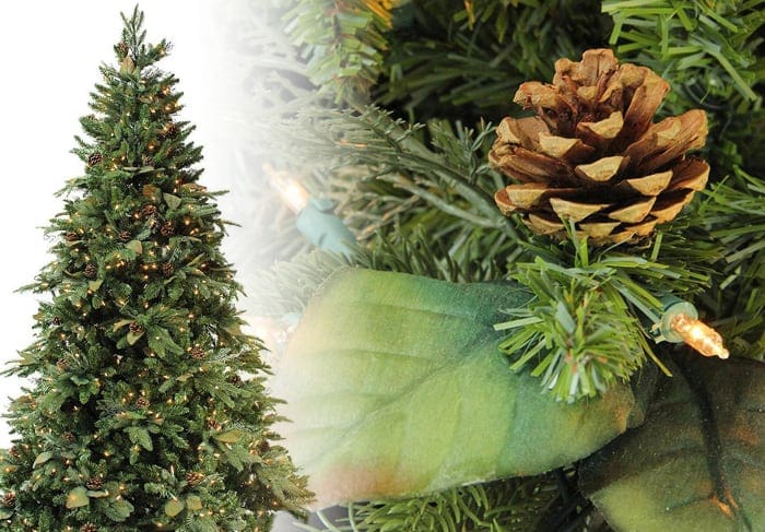 Green River Spruce Trees Green River Spruce Christmas Tree Photos