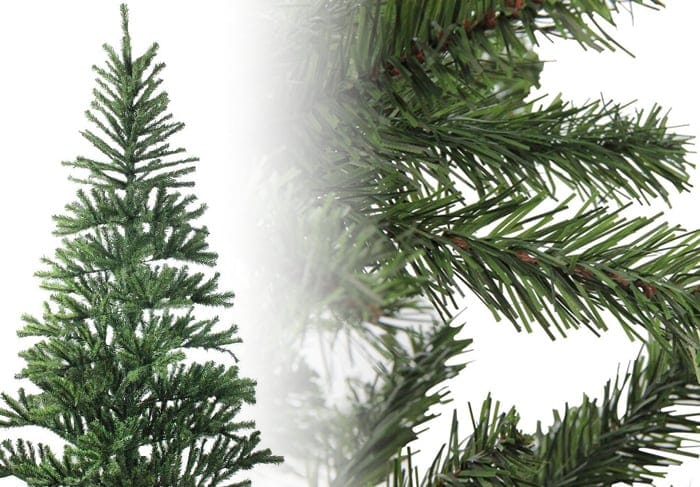Canadian Pine Trees Canadian Pine Christmas Tree Photos
