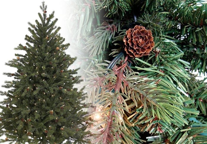 Hunter Fir Christmas Tree Photos title=