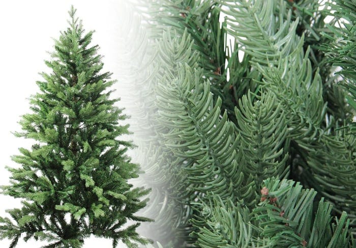 Coniferous Pine Trees Coniferous Pine Christmas Tree Photos
