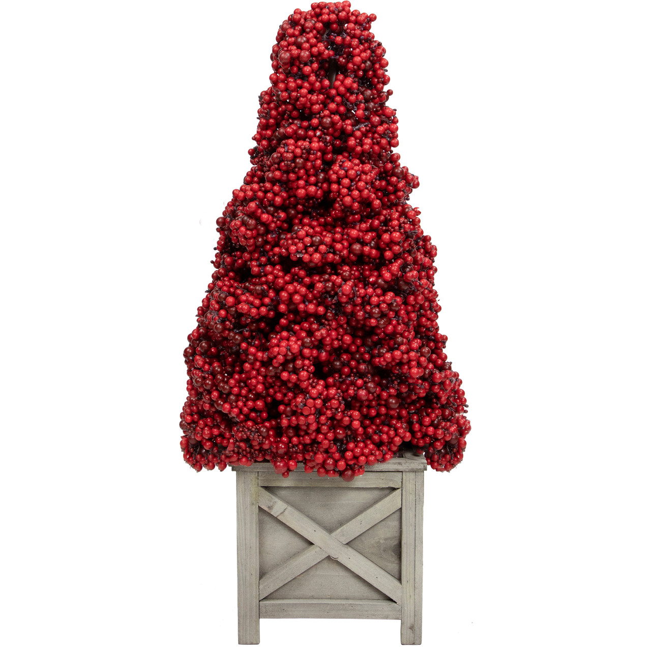 Red Holly Leaf Cone Trees - 24 inch