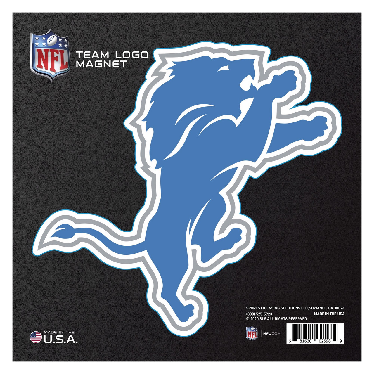 8.75' NFL Detroit Lions Automotive Large Team Logo Magnet