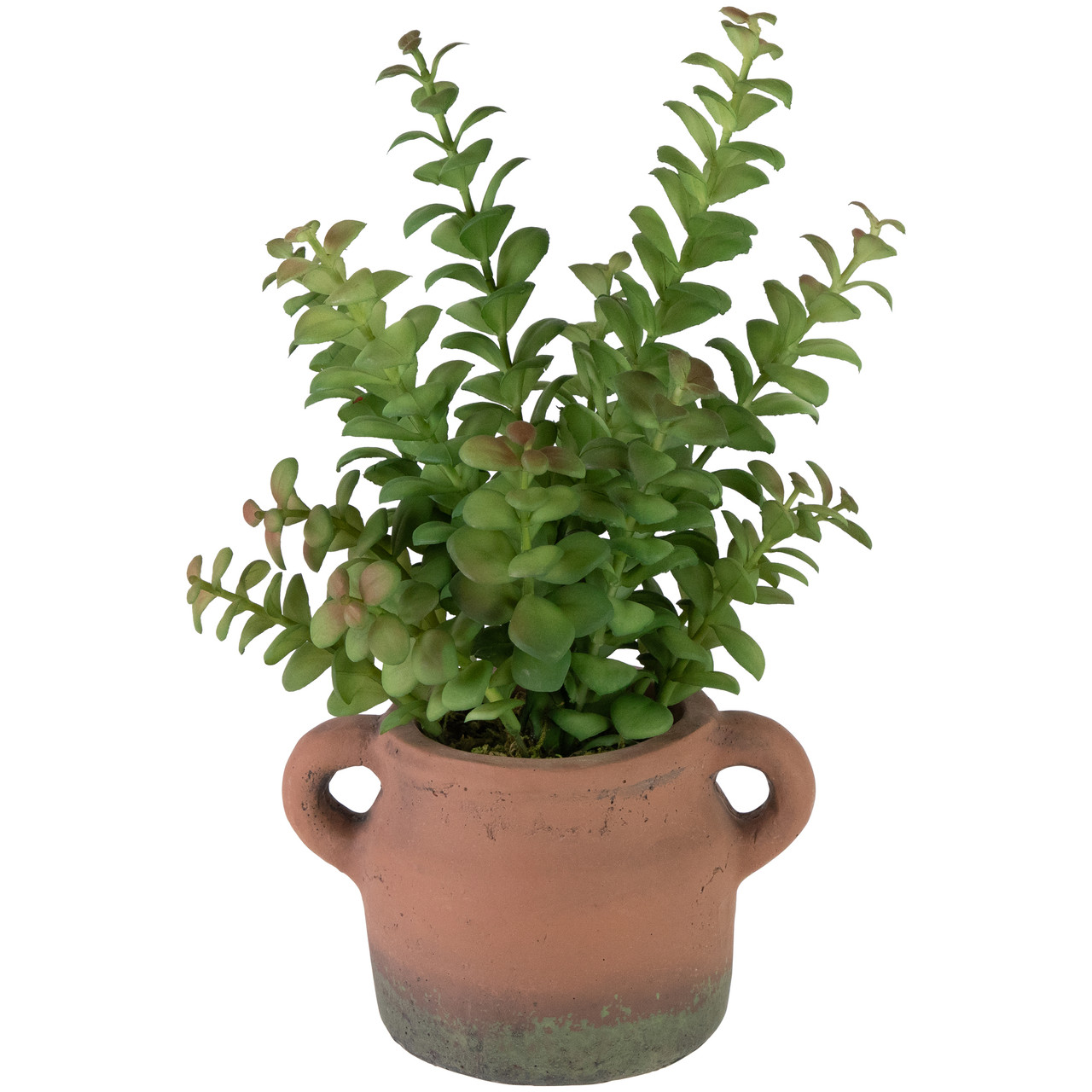 14" Artificial Privet Plant in Vintage Milk Can Style Earthenware Pot