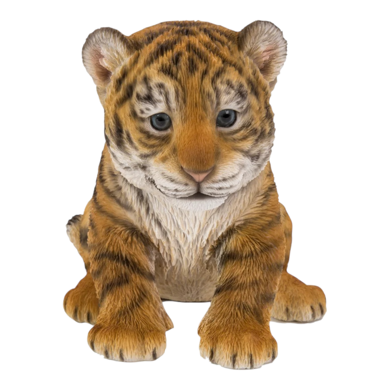 Tiger Cub Sitting